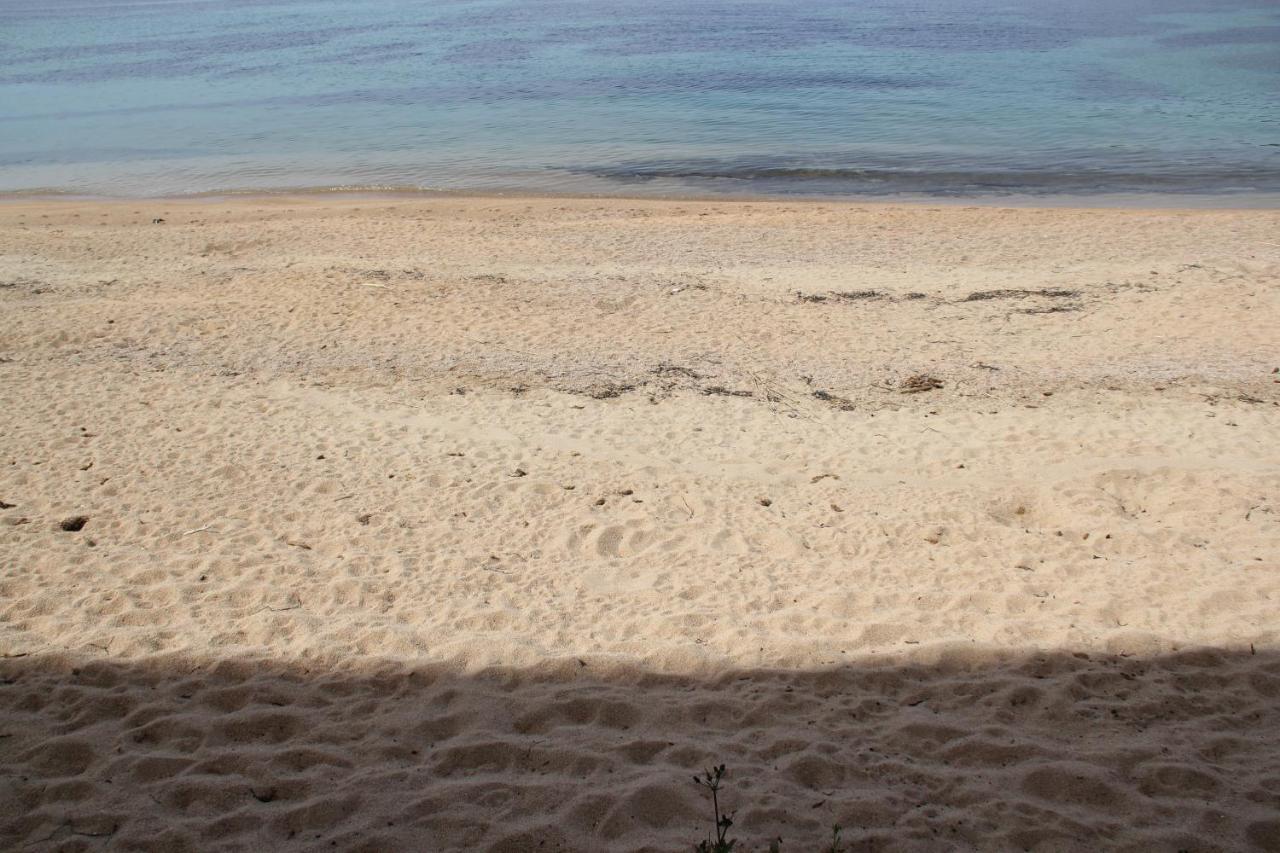 Studio Pieds Dans L'Eau Ajaccio  Ngoại thất bức ảnh